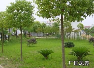 廠區風景